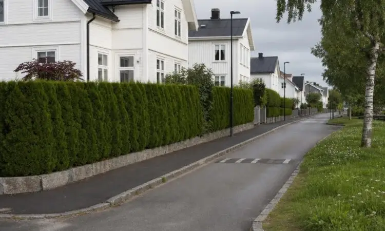 Hvorfor planforskrifter påvirker hverdagen vår mer enn vi tror