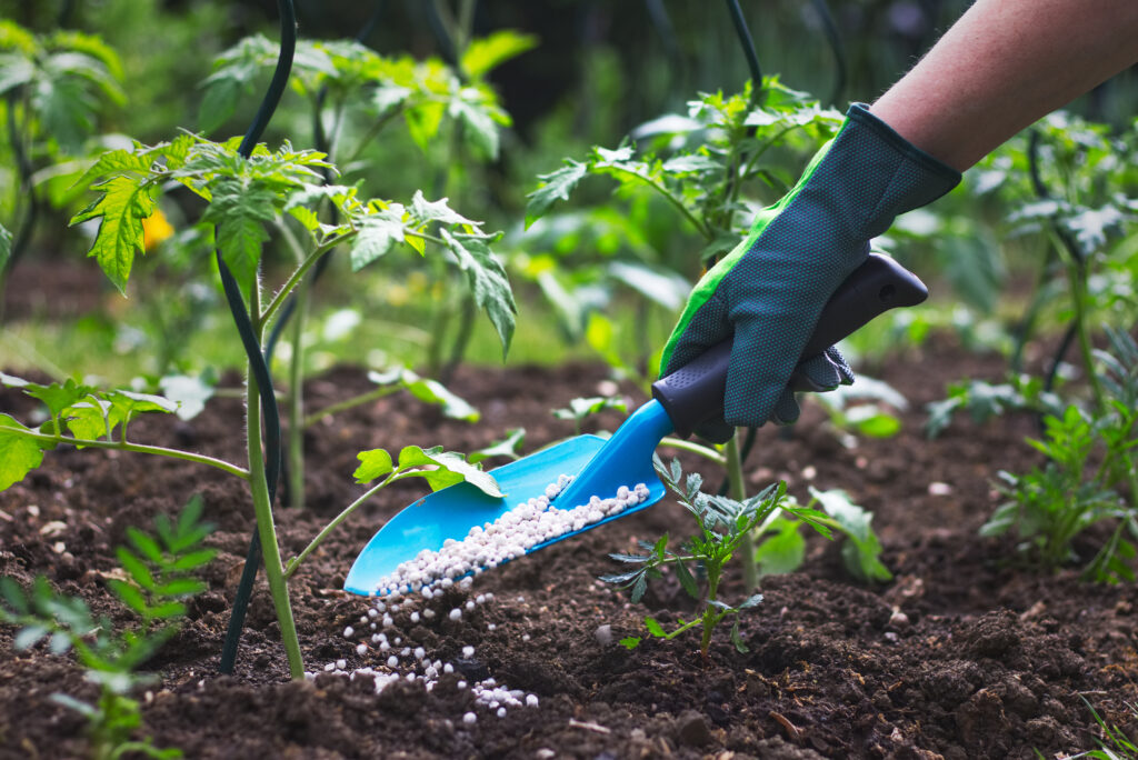 Person bruker hagespade til å spre gjødsel i blomsterbed.