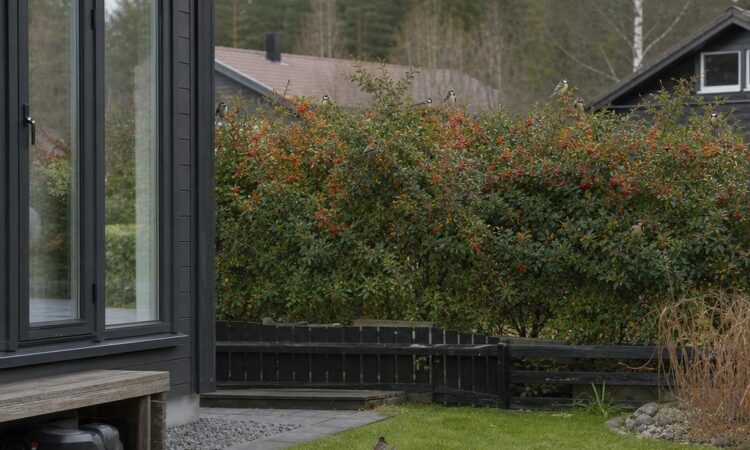 Hvorfor fugler unngår noen hager helt