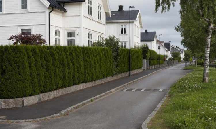 Hvorfor planforskrifter påvirker hverdagen vår mer enn vi tror